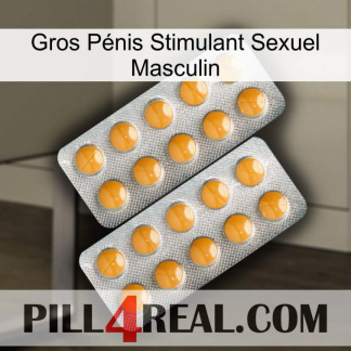 Gros Pénis Stimulant Sexuel Masculin levitra2